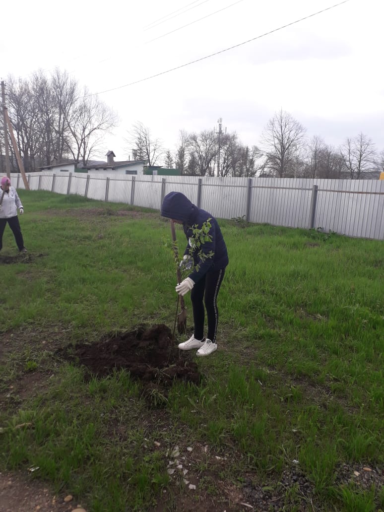 IMG-20210421-WA0008