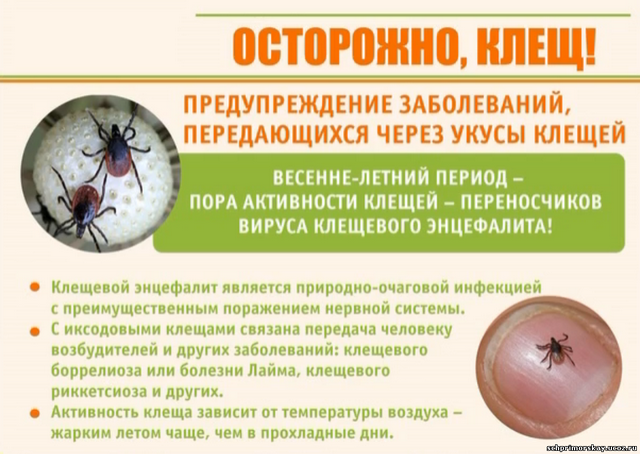 Памятка